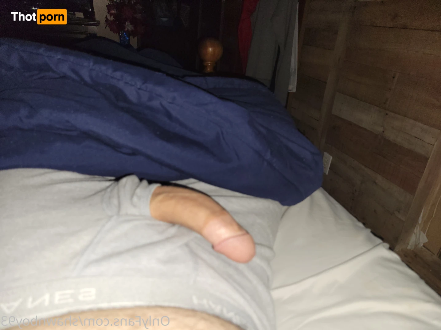 Horndog beefy 11435386