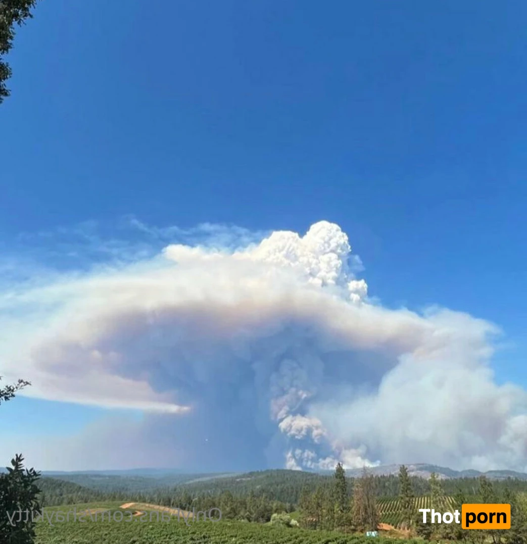 Magick Shay 11433892