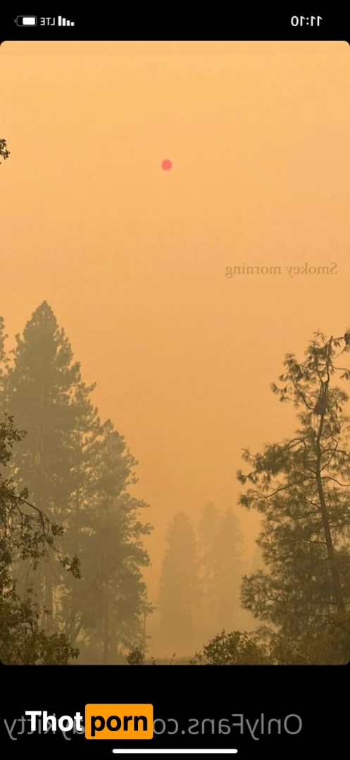 Magick Shay 11434275