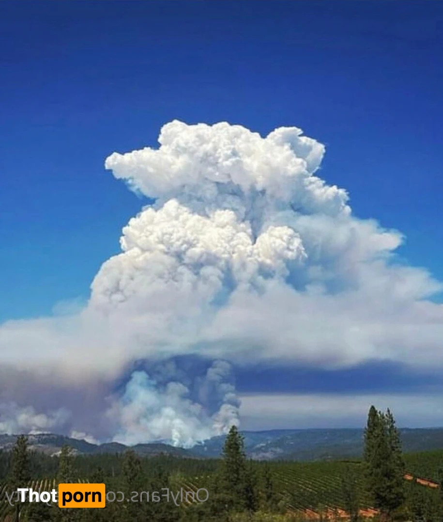 Magick Shay 11434720