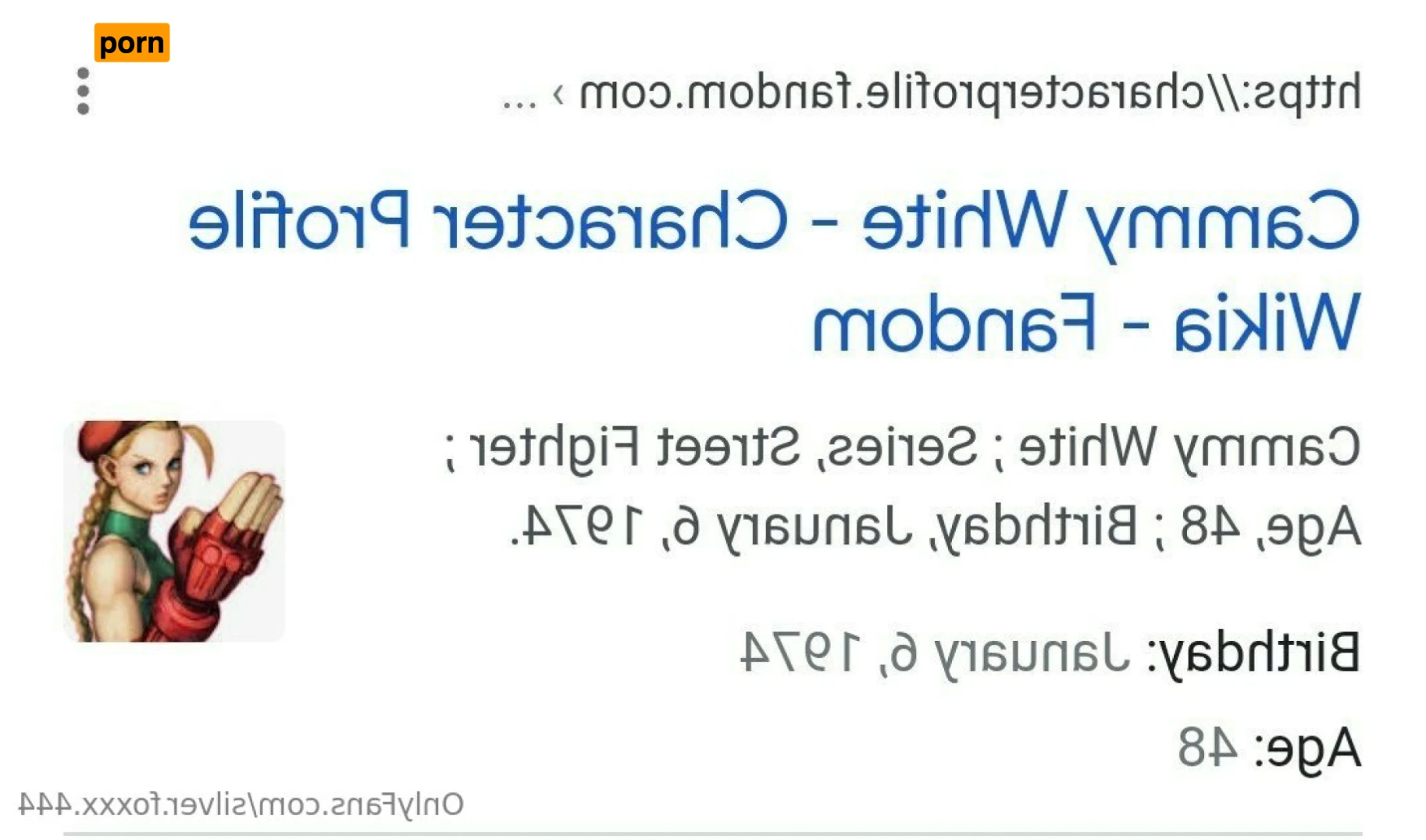 Silver Foxxx 16479819