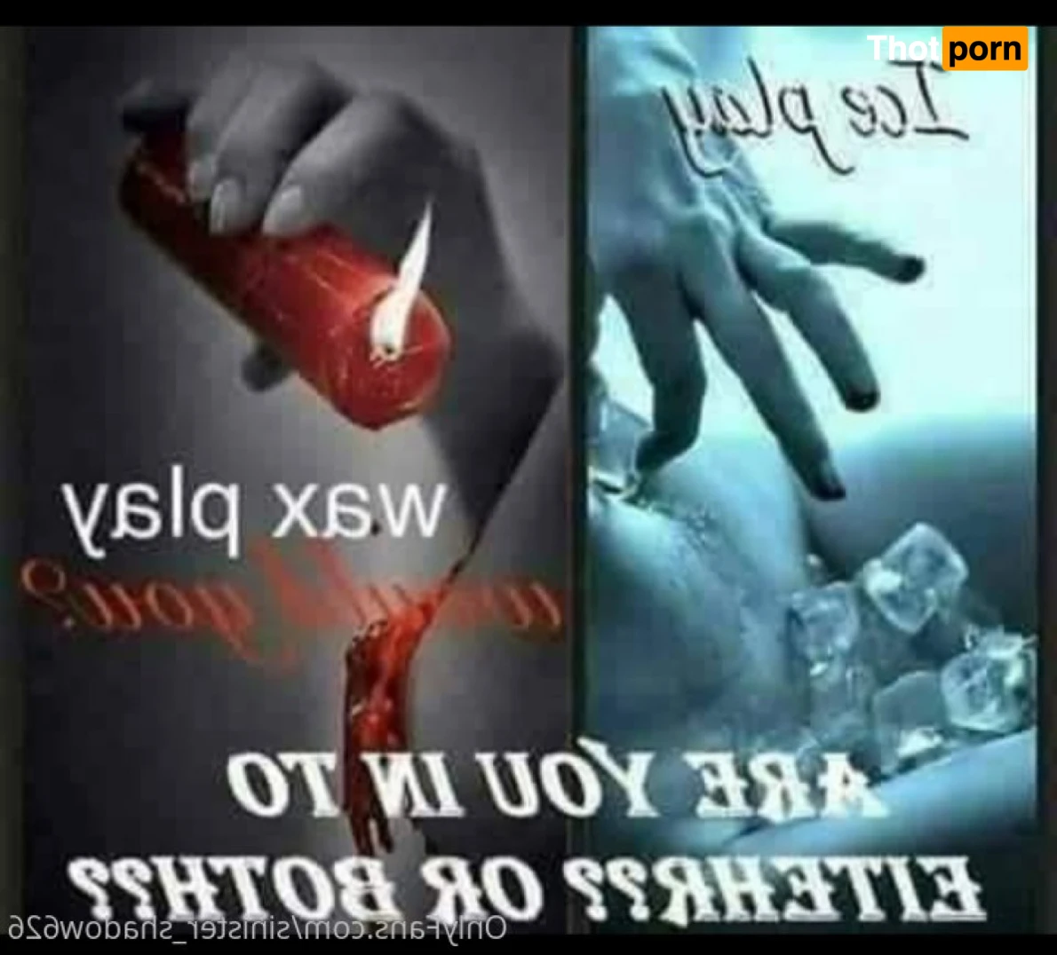 Avelyn😈💦 16473256