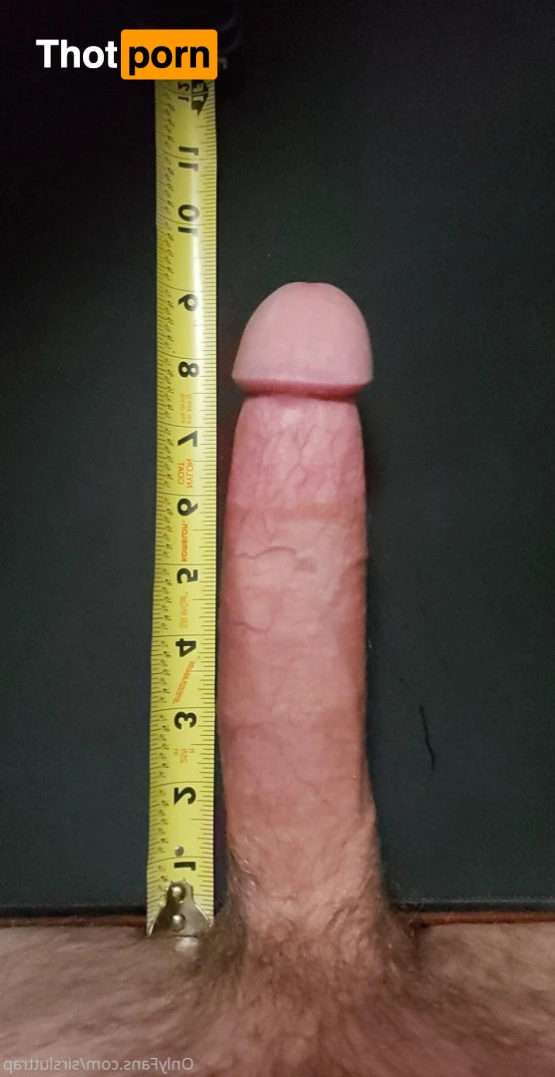 Your Next Owner 16456839