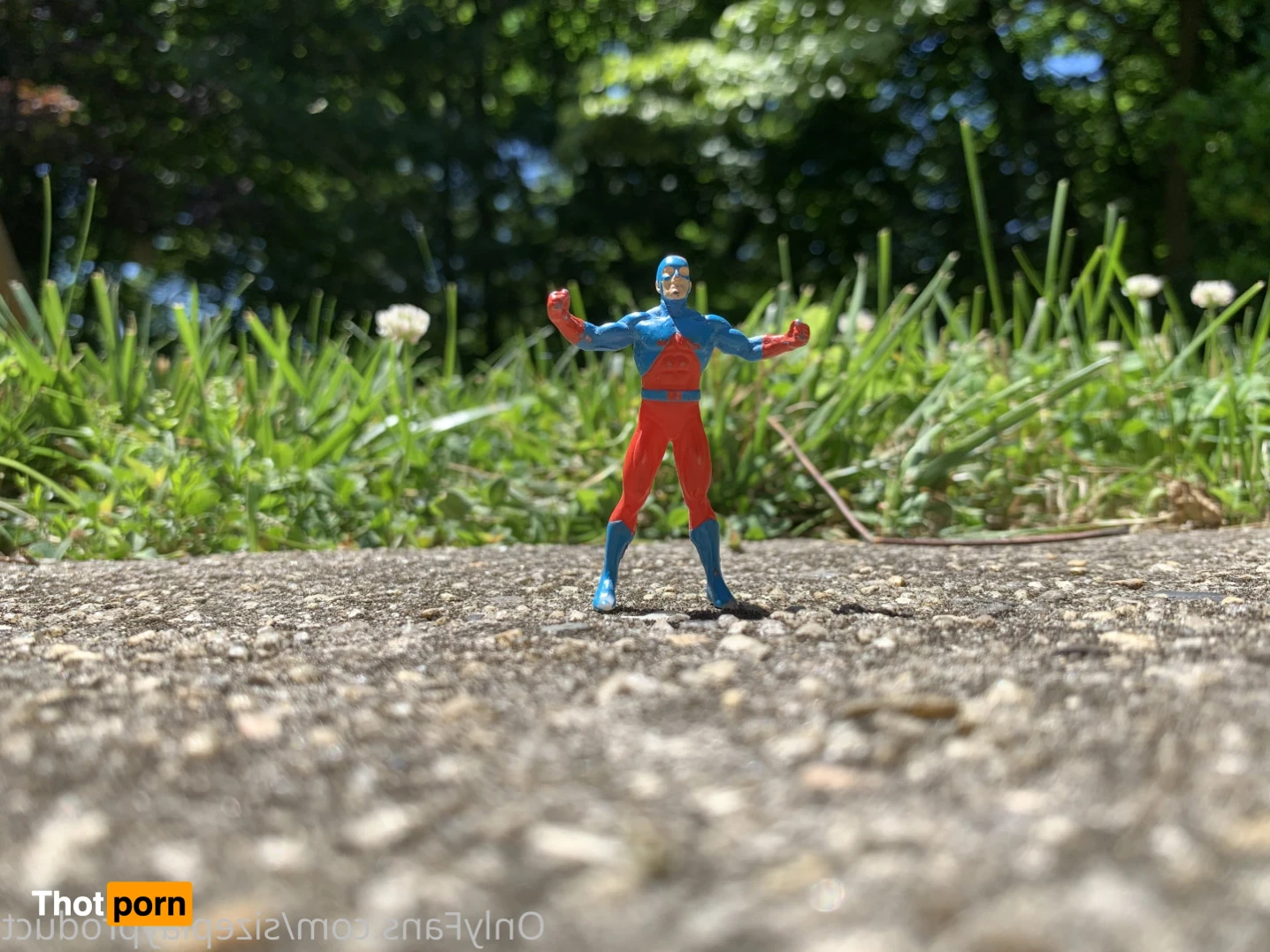 SIZEplay Productions 16439980