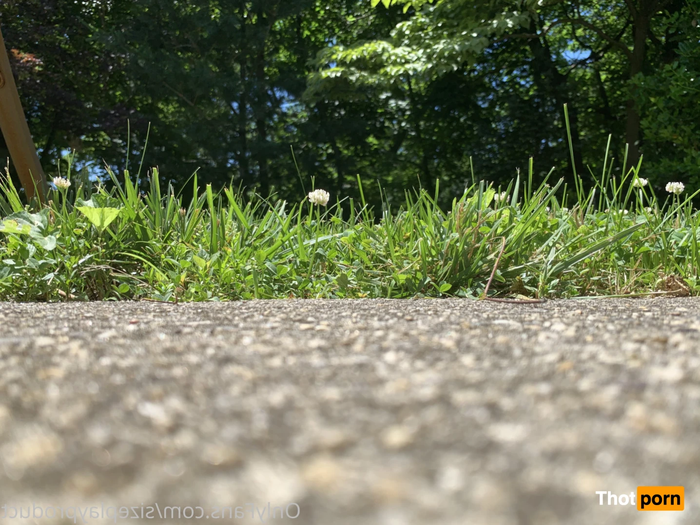 SIZEplay Productions 16440399