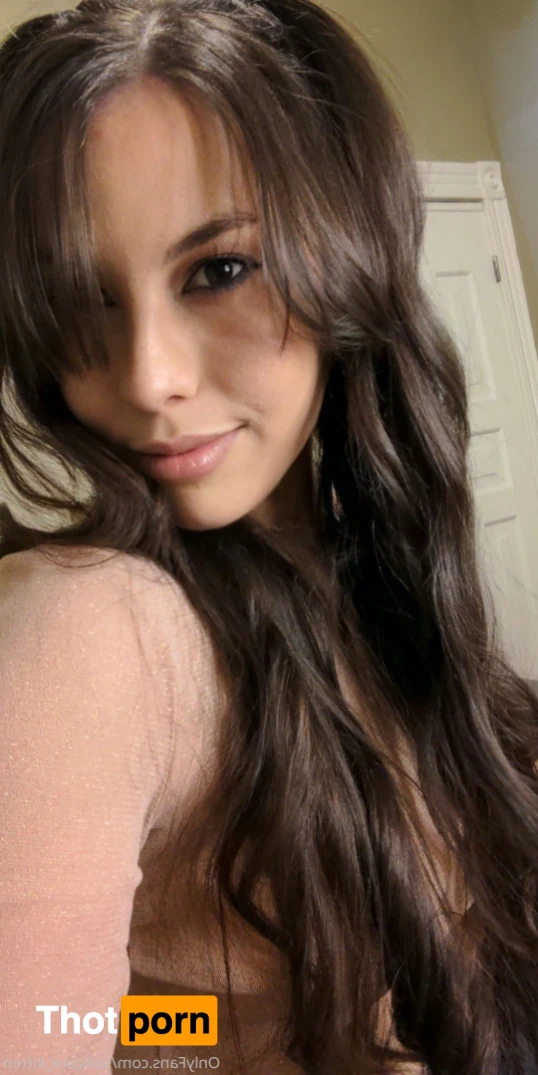 YOUR POCKET KITTEN 😇 16346693