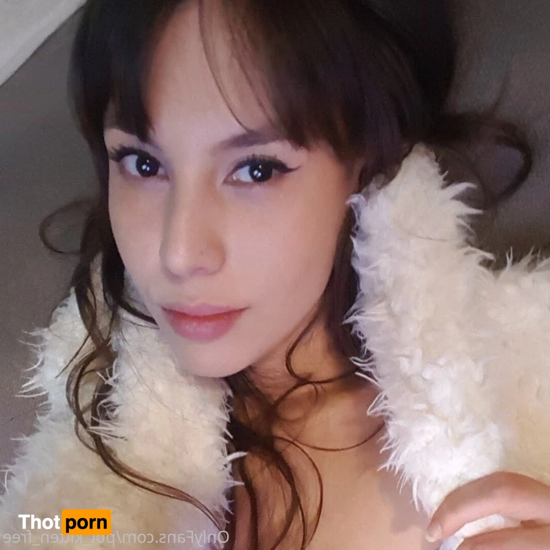 YOUR POCKET KITTEN 😇 16346735