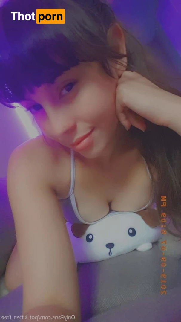 YOUR POCKET KITTEN 😇 16346747