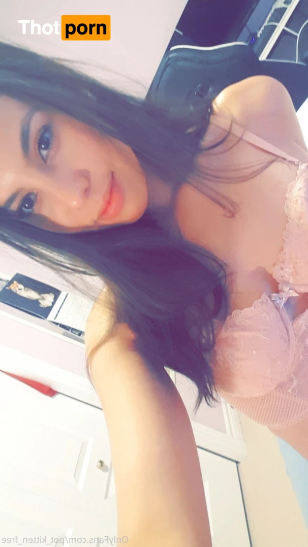 YOUR POCKET KITTEN 😇 16346777