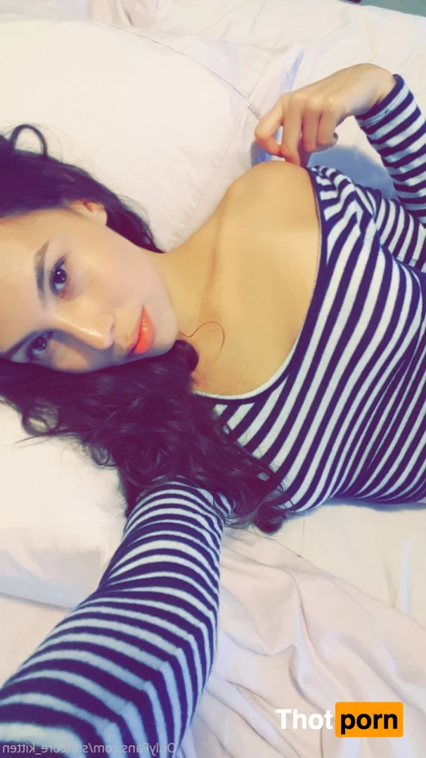 YOUR POCKET KITTEN 😇 16346824