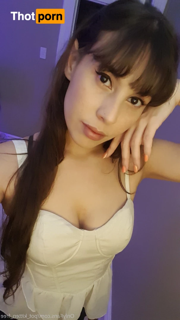 YOUR POCKET KITTEN 😇 16347005