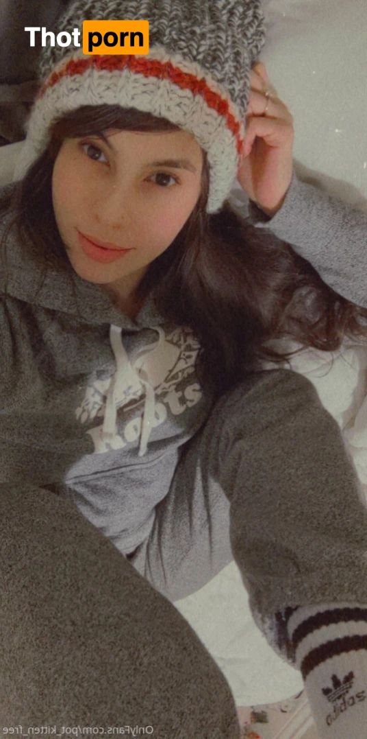 YOUR POCKET KITTEN 😇 16347095