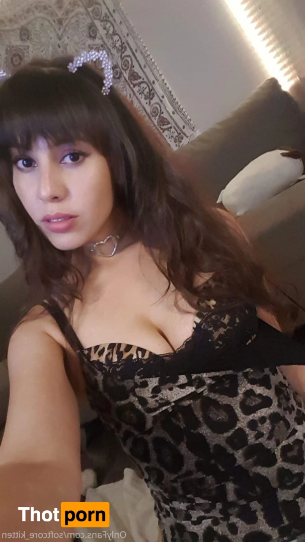 YOUR POCKET KITTEN 😇 16347105