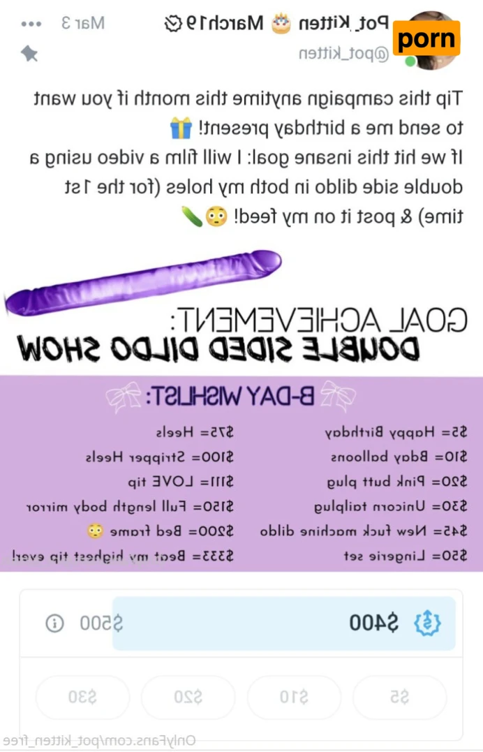 YOUR POCKET KITTEN 😇 16347111