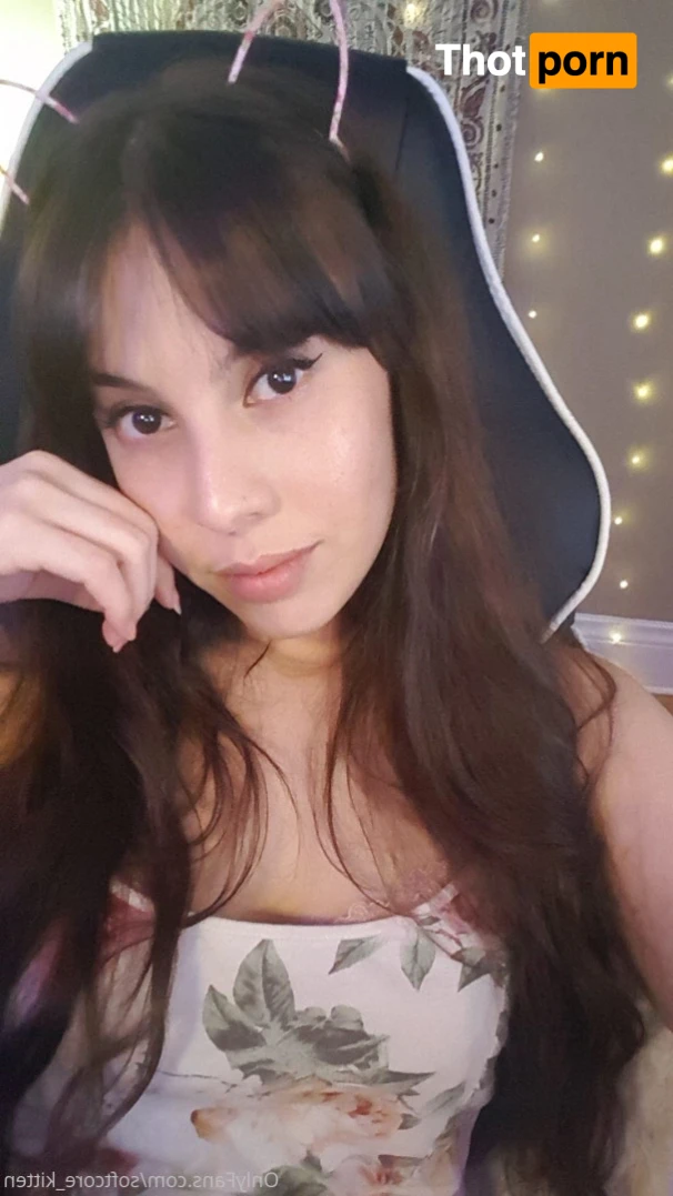 YOUR POCKET KITTEN 😇 16347123