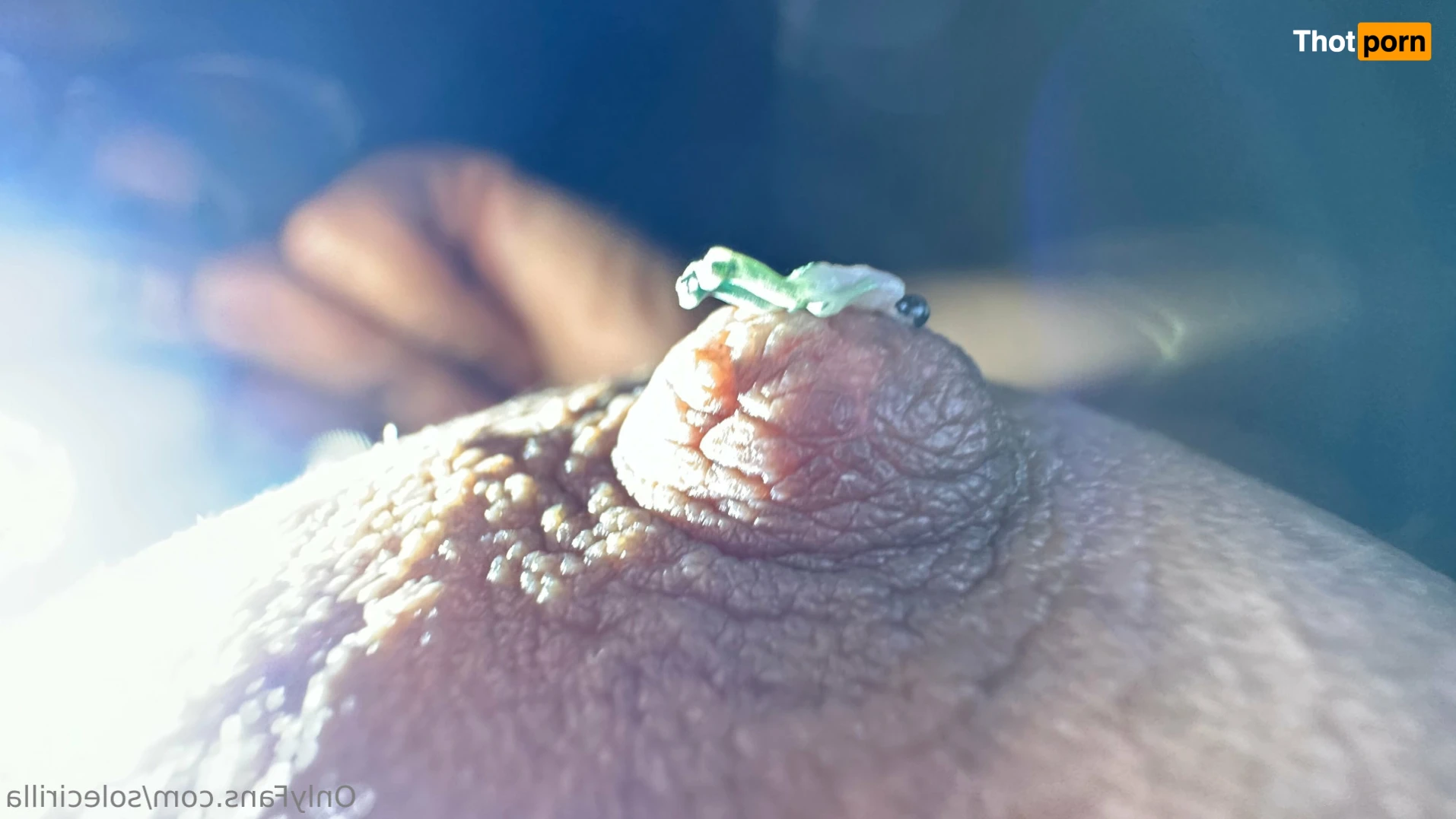 Sole Cirilla 16285443