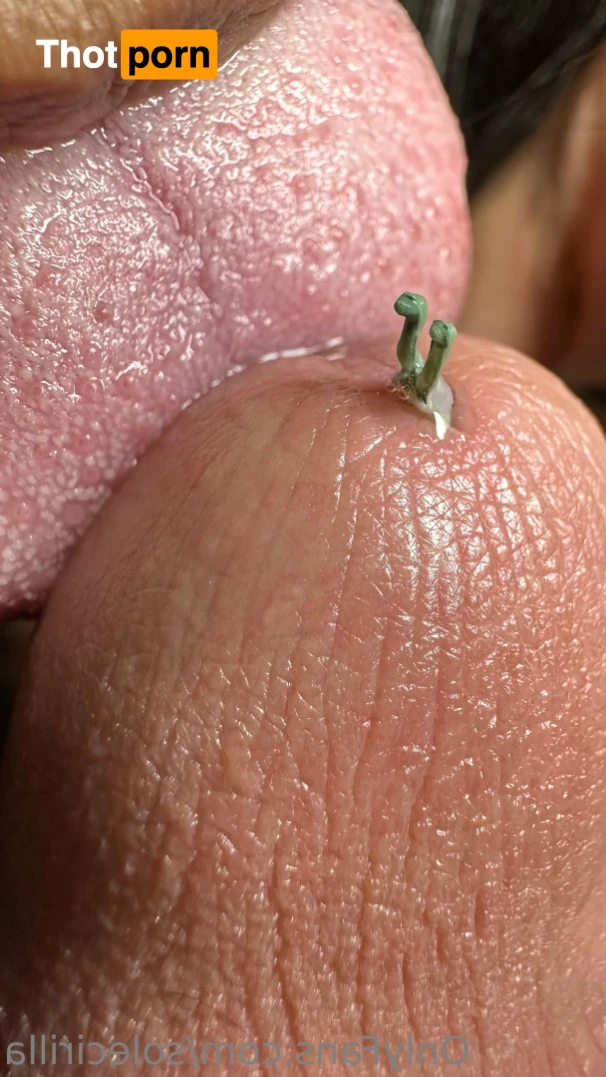 Sole Cirilla 16285527