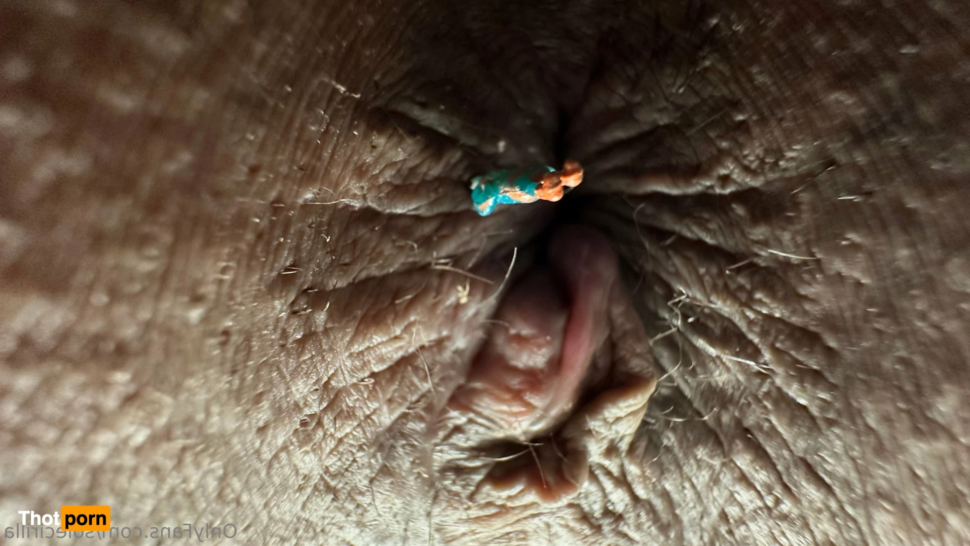 Sole Cirilla 16285809