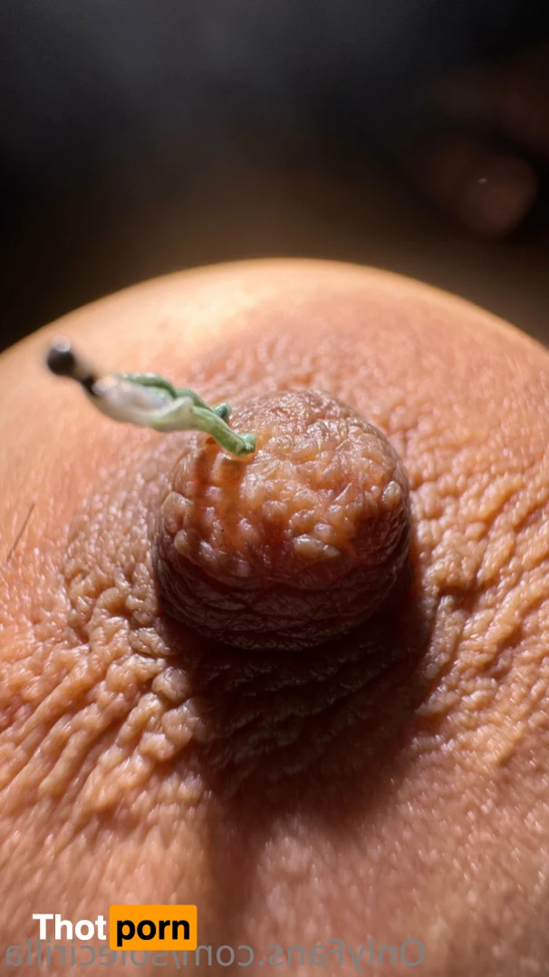 Sole Cirilla 16285936