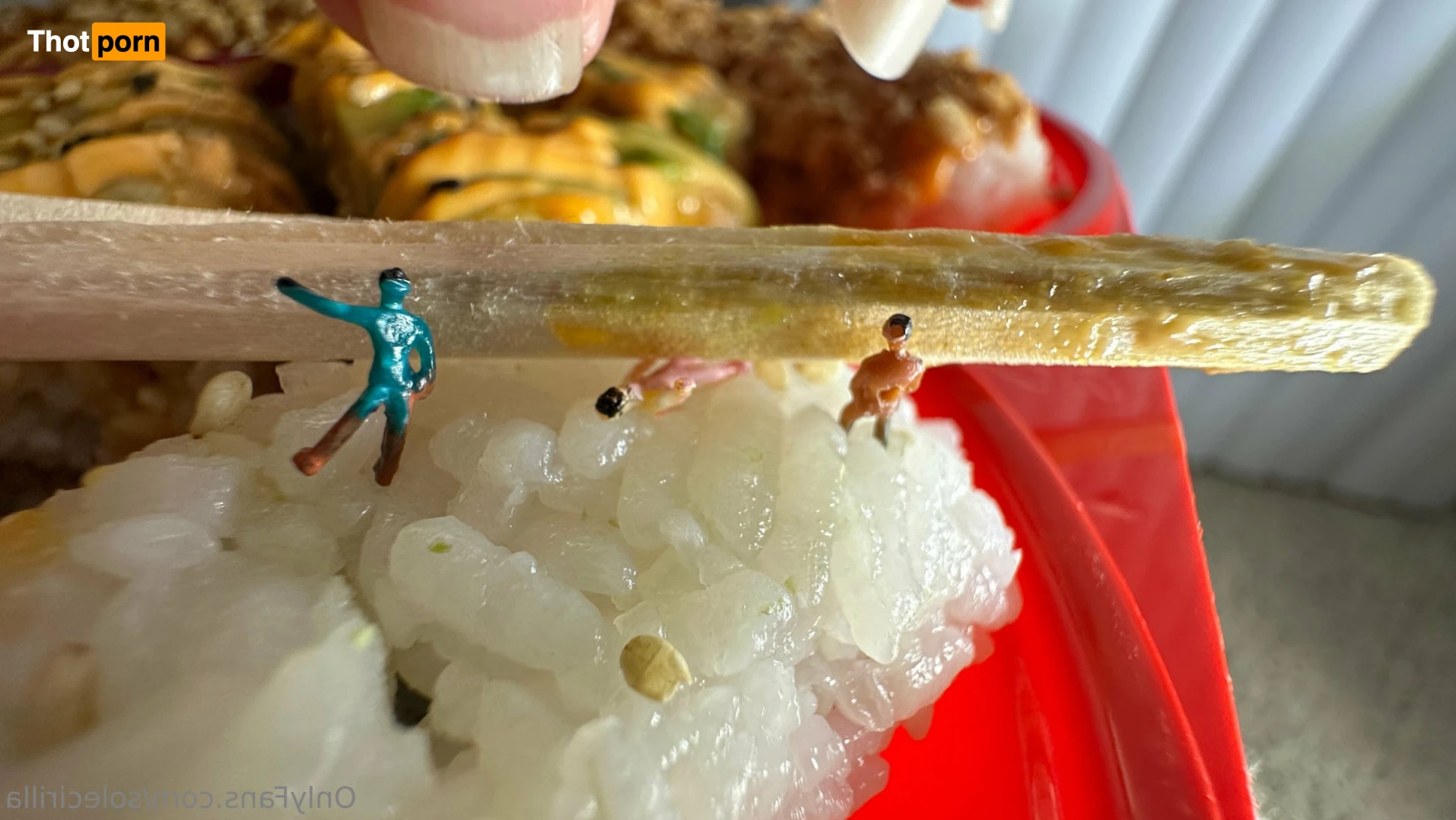 Sole Cirilla 16285949