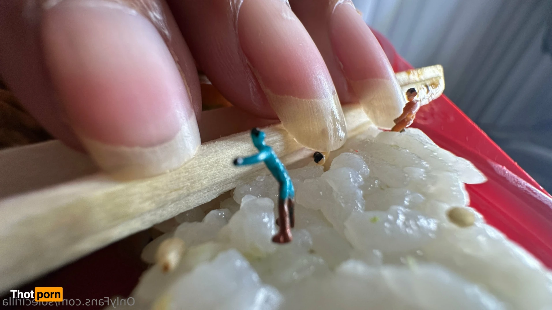 Sole Cirilla 16285999