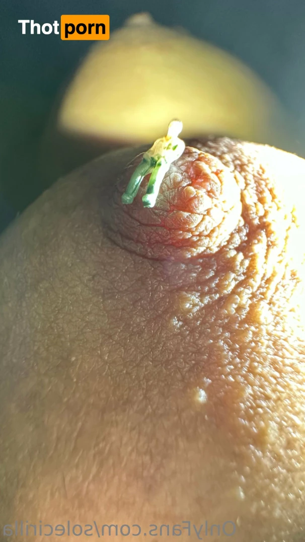 Sole Cirilla 16286196