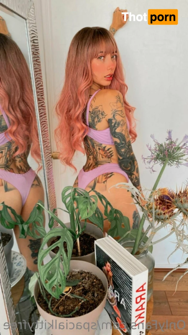 Gatita Spacial 16196225