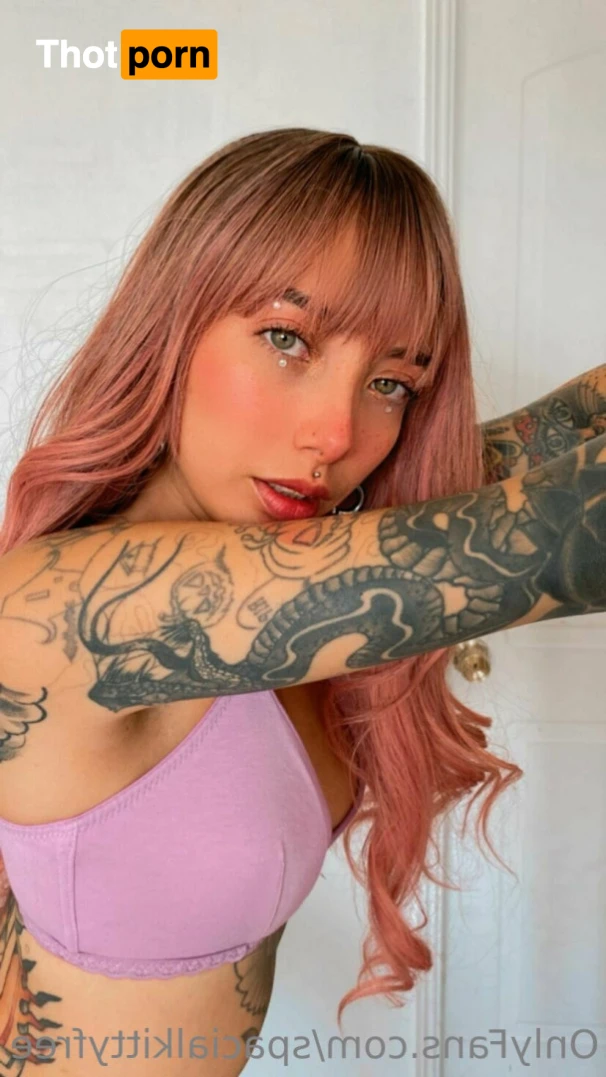 Gatita Spacial 16196242