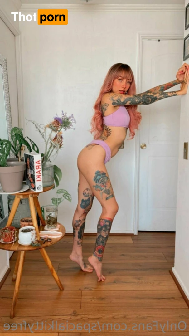 Gatita Spacial 16196269