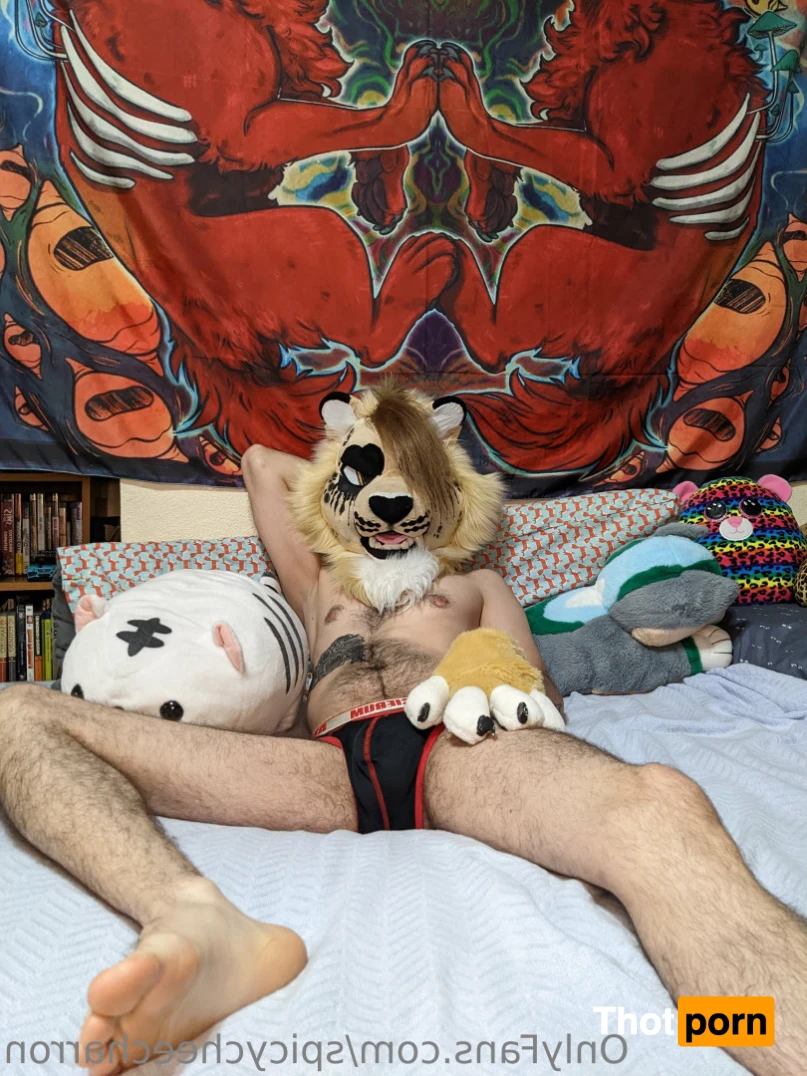 spicycheecharron 11176149