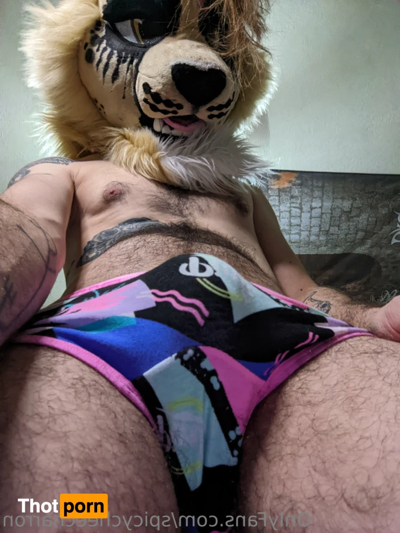 spicycheecharron 16187653