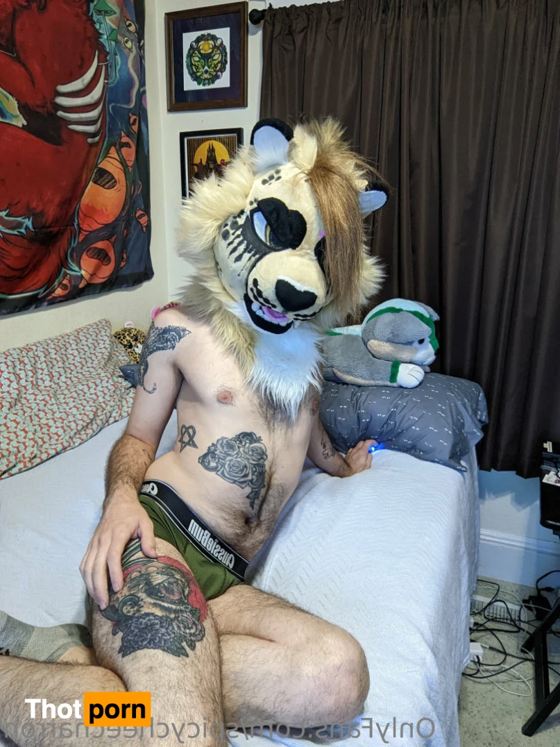 spicycheecharron 16187745