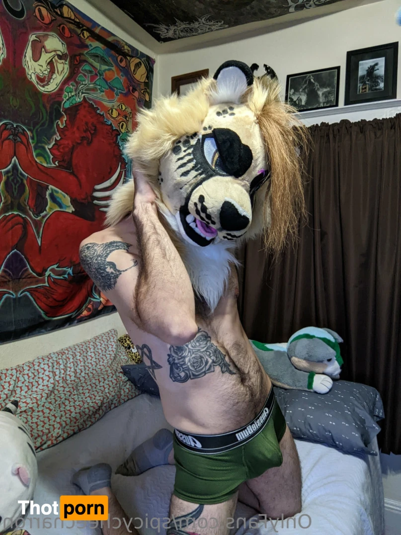 spicycheecharron 16187787