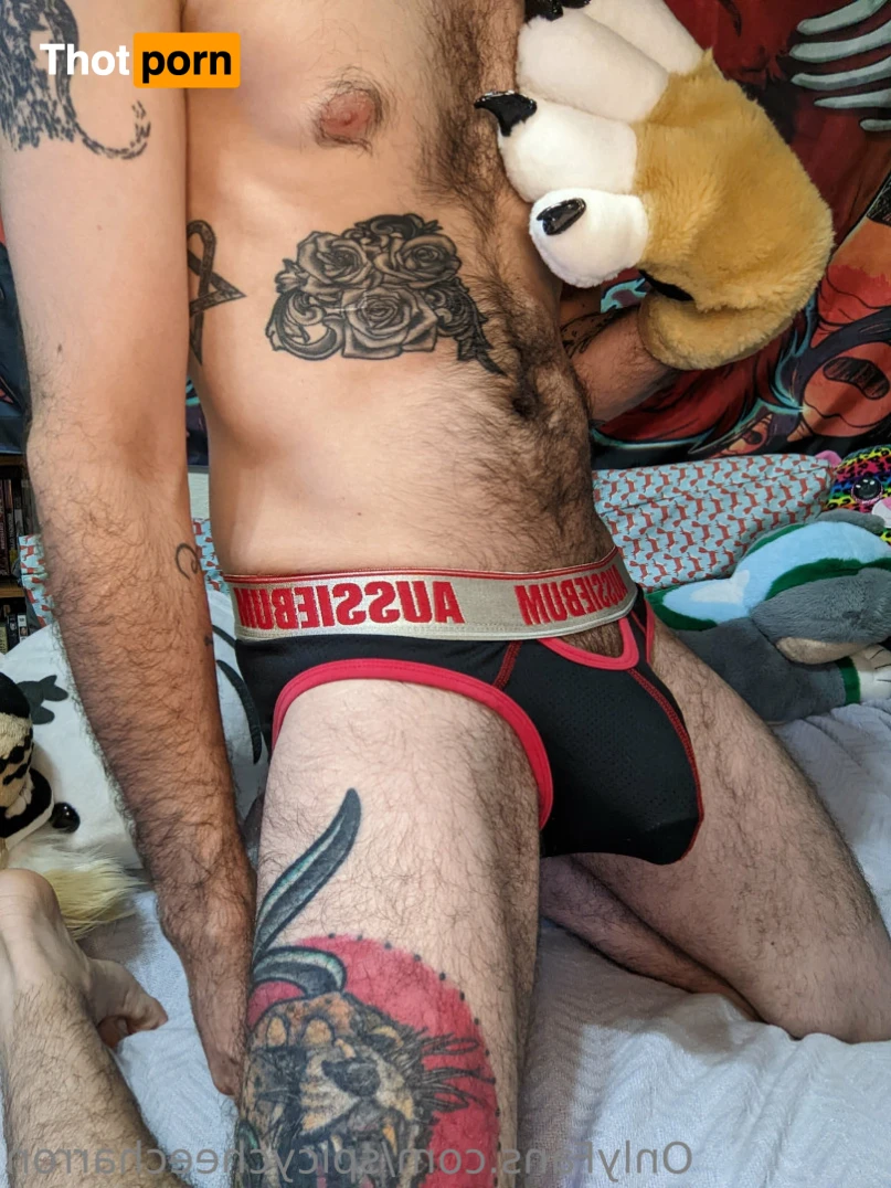 spicycheecharron 16187929