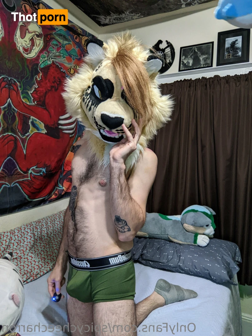 spicycheecharron 16187946