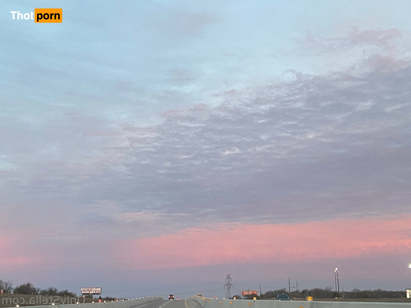 Your Favorite Fat Bitch 16072562