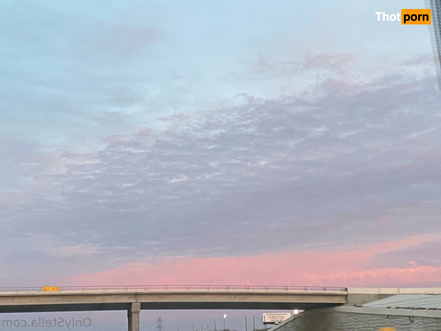 Your Favorite Fat Bitch 16072600