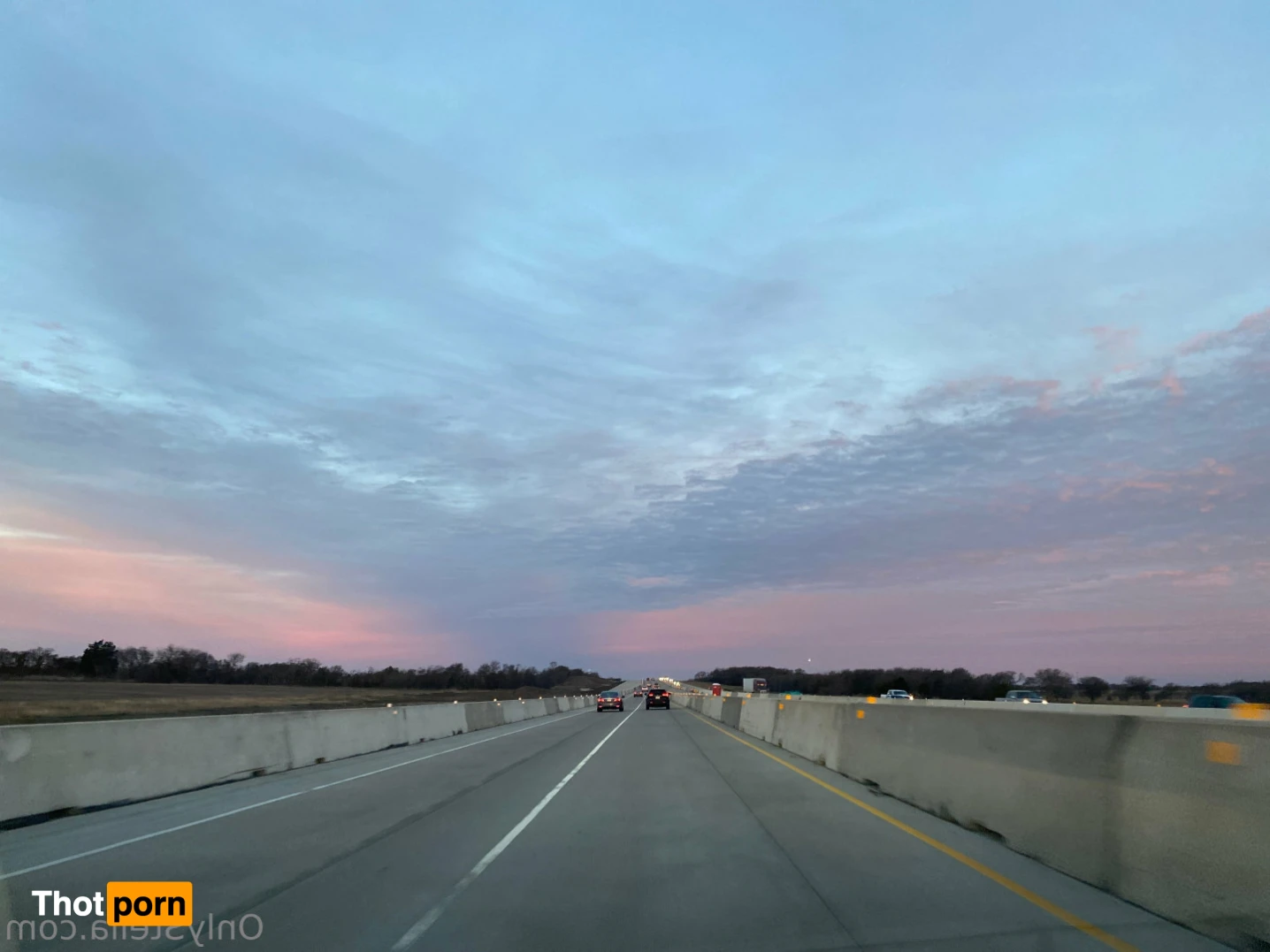 Your Favorite Fat Bitch 16072637