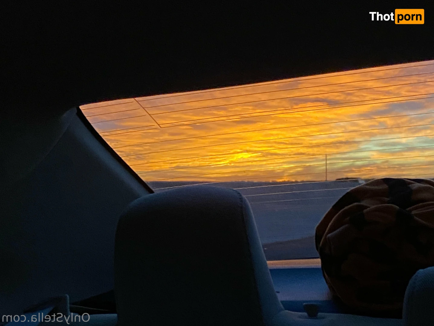 Your Favorite Fat Bitch 16072828