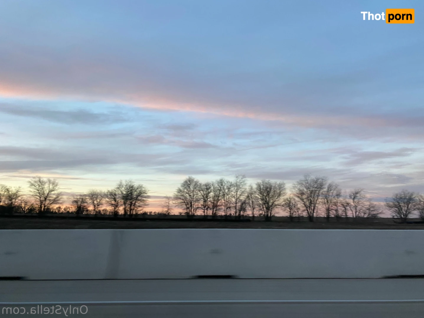 Your Favorite Fat Bitch 16072862