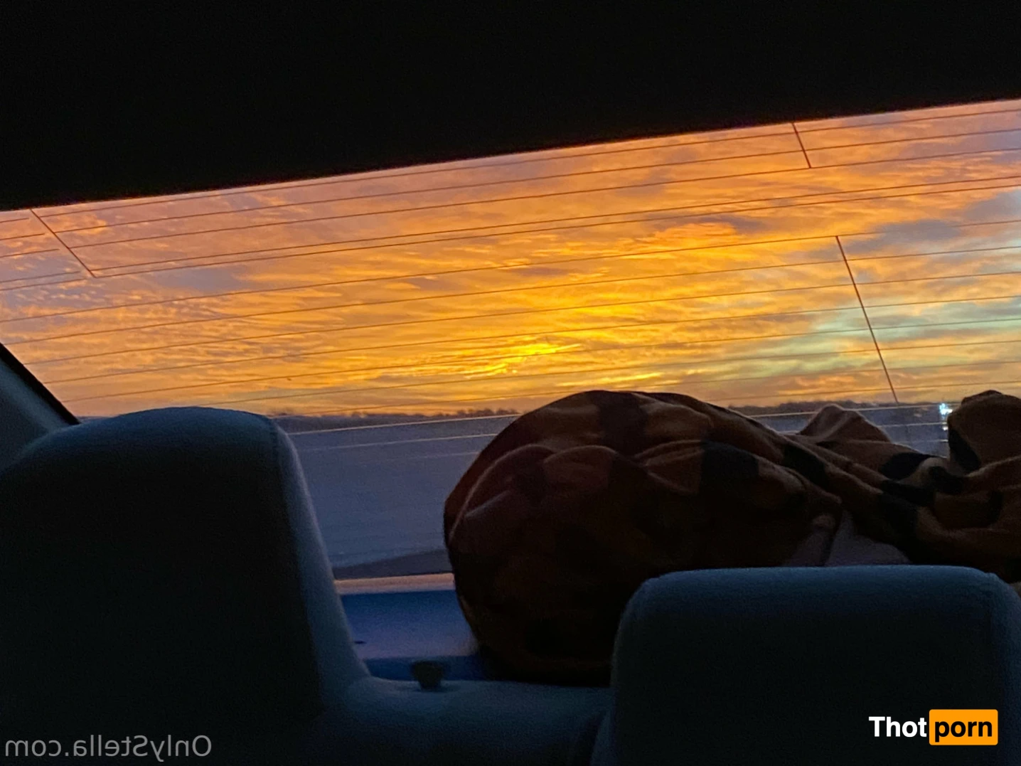 Your Favorite Fat Bitch 16073095