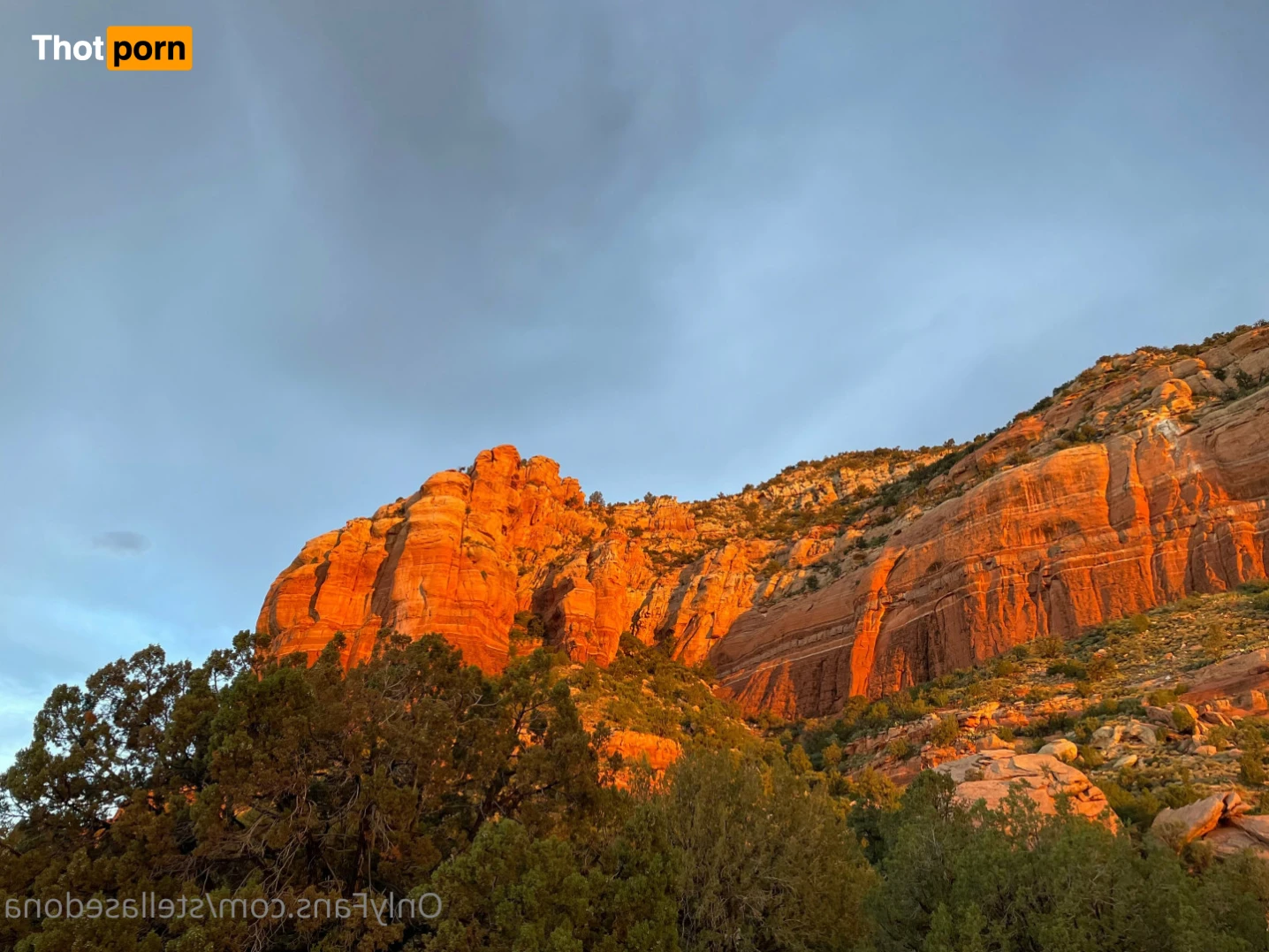 Stella Sedona✨ 16072211