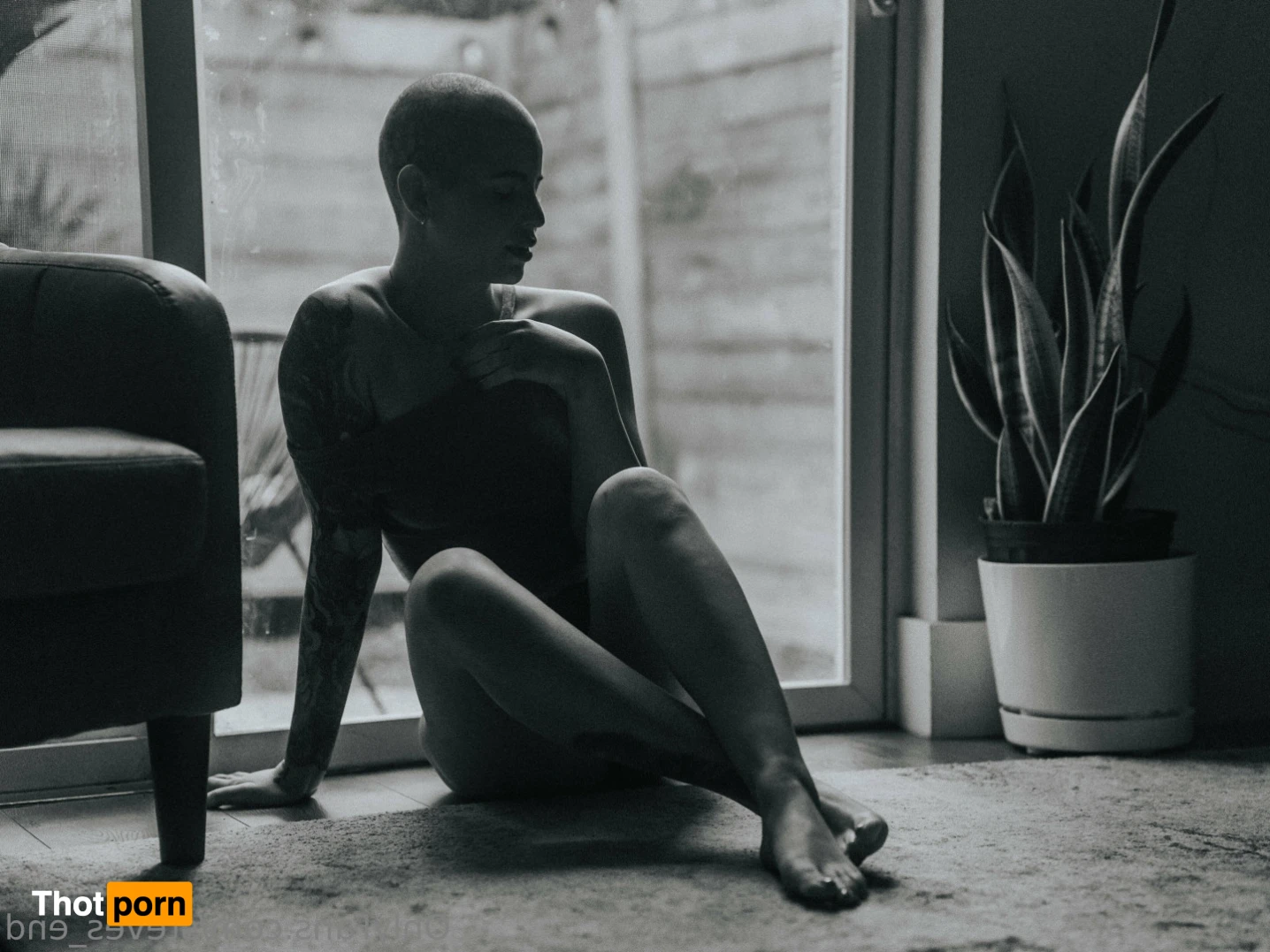 Steven Kyle 16062358