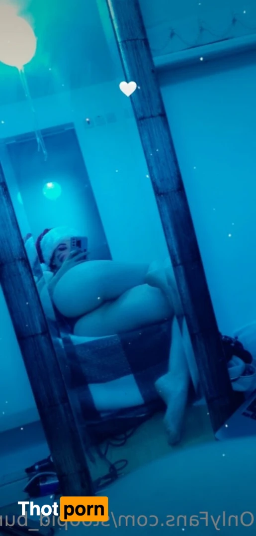 Stoopid Bunny 16054670