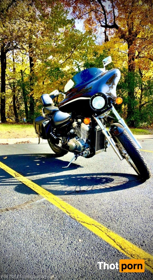 StraightBear90 11043712