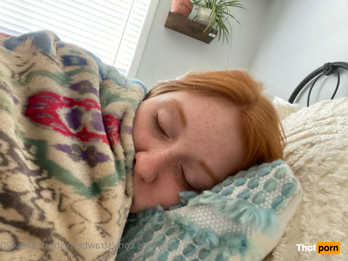 StrawberryshortCakes 16028330