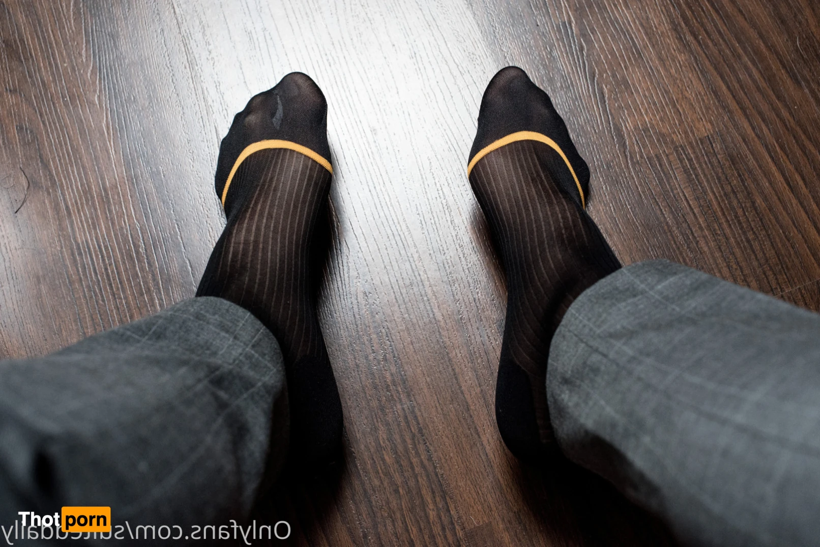 Suited Daily 15958461