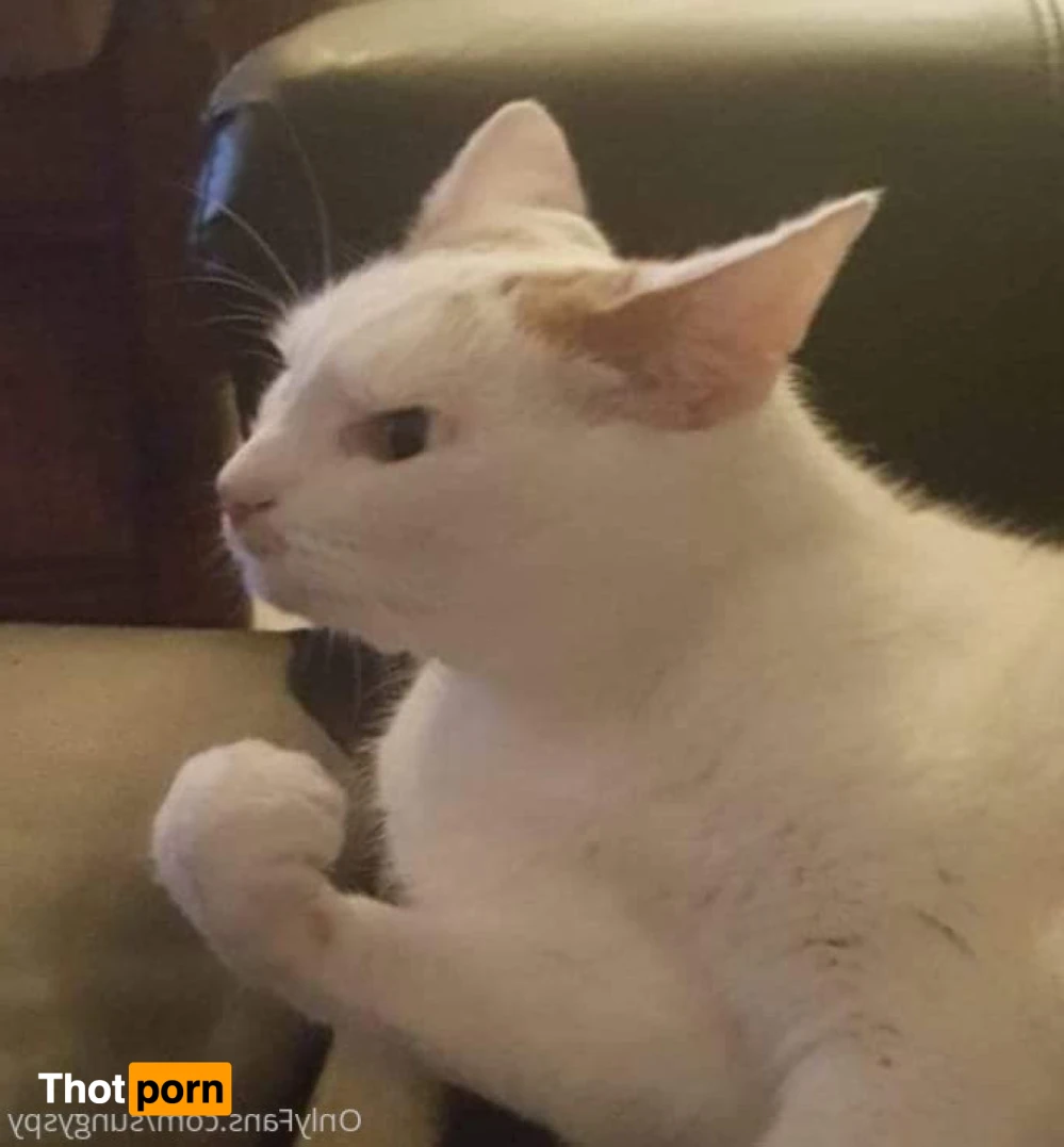 Slutty Anime Princess 15936537