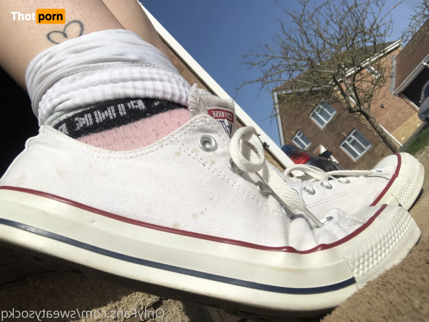 Sweaty Sock Queen 15896861