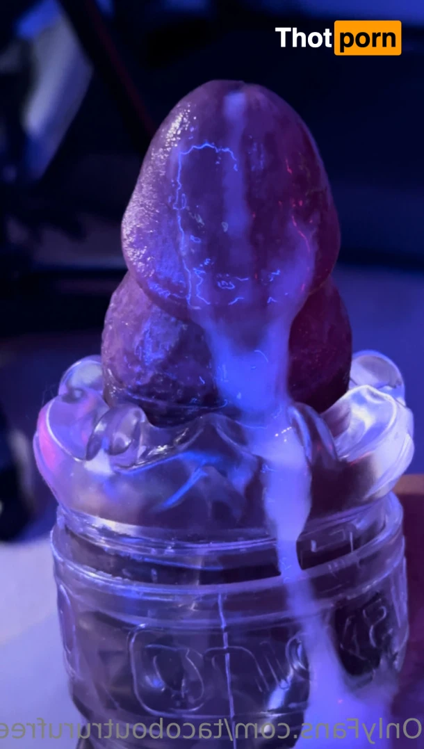 Tacoboutruru Free 15722593